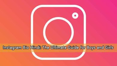 Instagram Bio Hindi